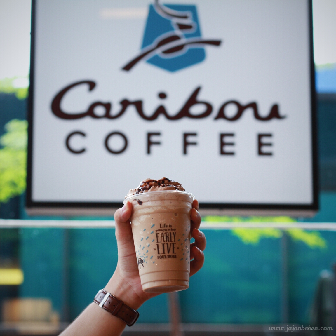 Jajanbeken caribou coffee