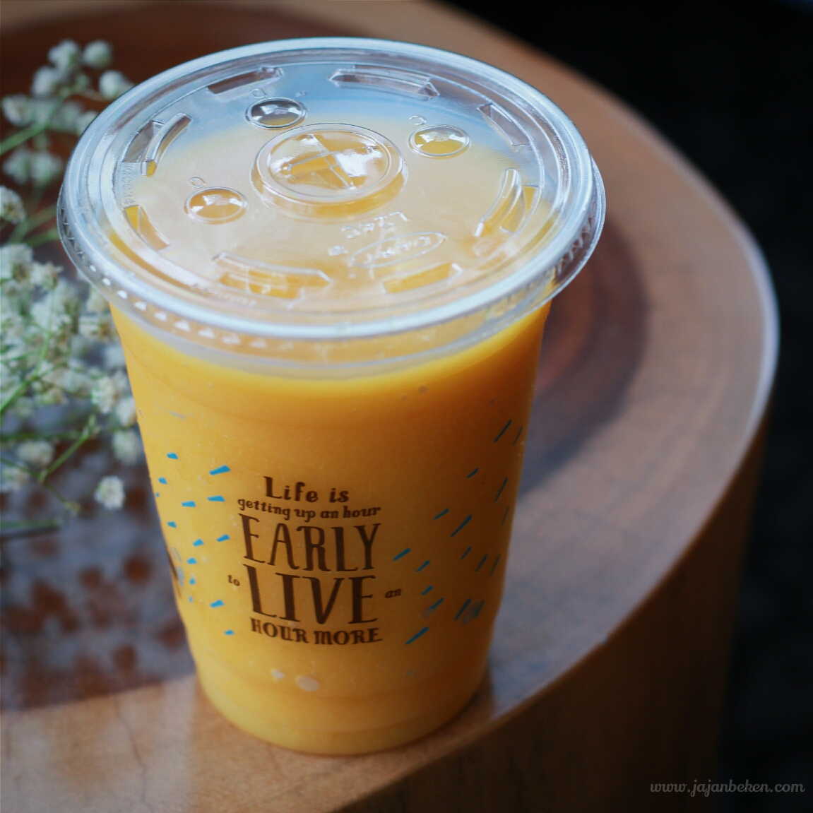 Jajanbeken caribou coffee