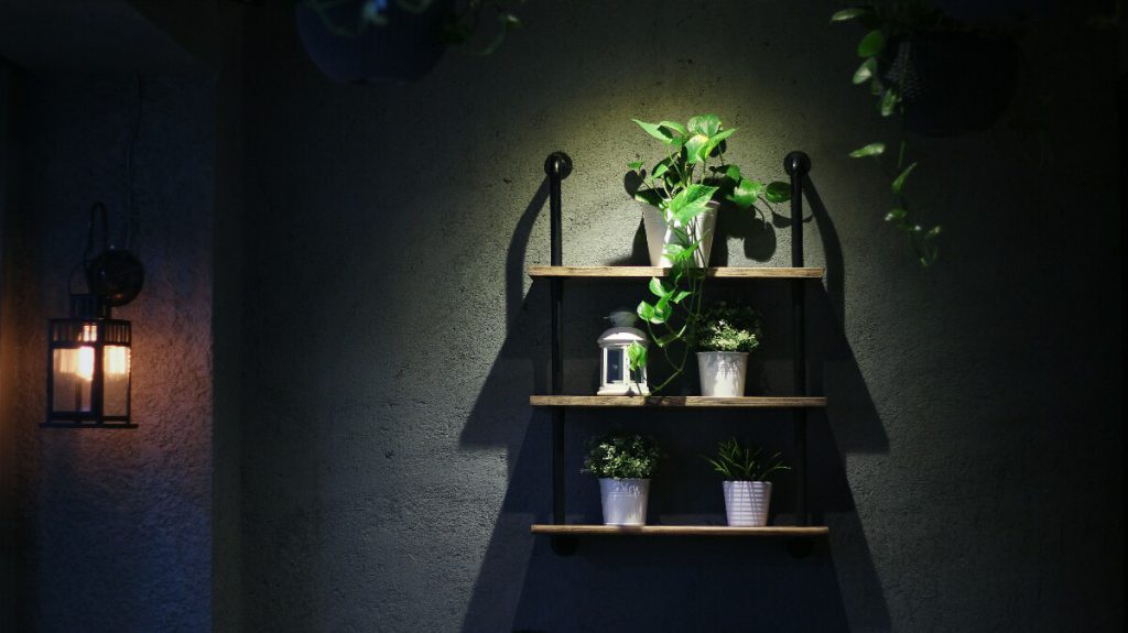 jajanbeken java bean coffee plaza semanggi