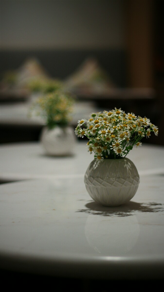 jajanbeken lewis and carrol tea flower market 14