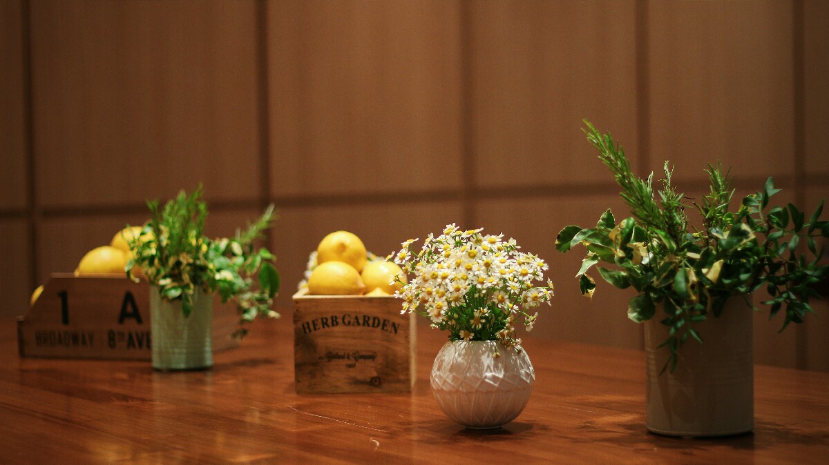 jajanbeken lewis and carrol tea flower market 3