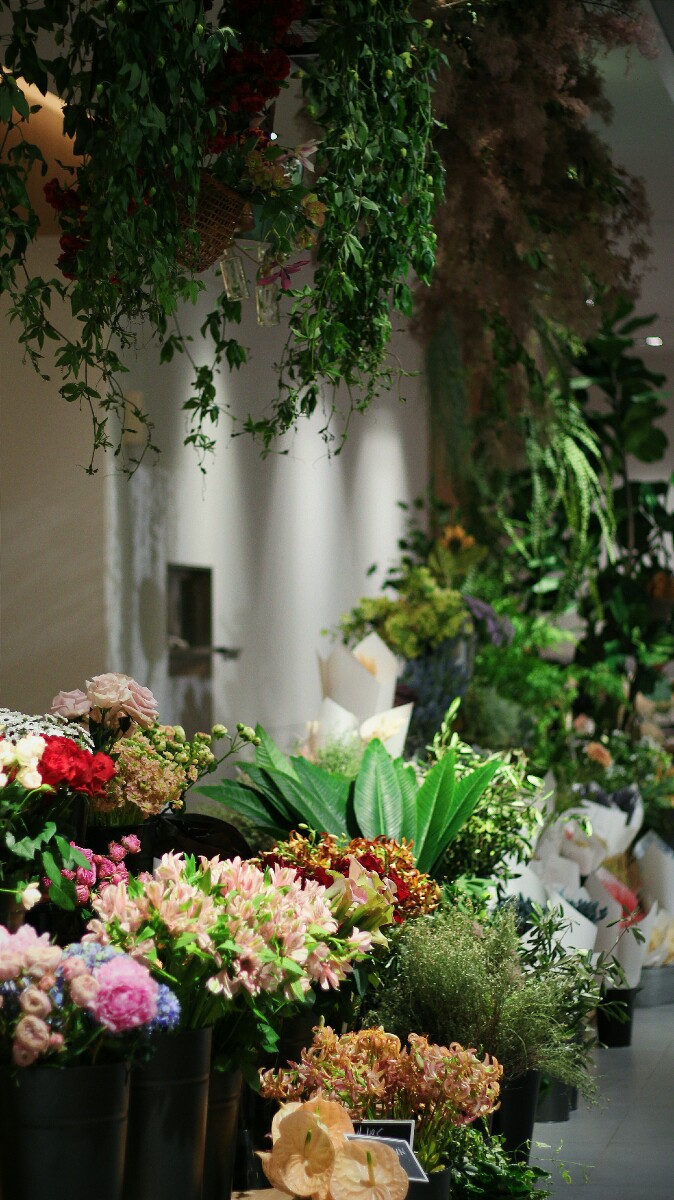 jajanbeken lewis and carrol tea flower market 6