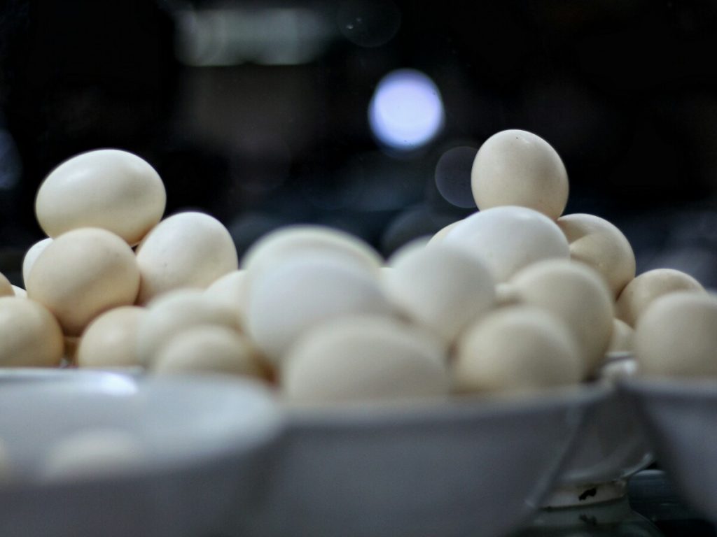 jajanbeken kuliner malam bubur alfa meruya