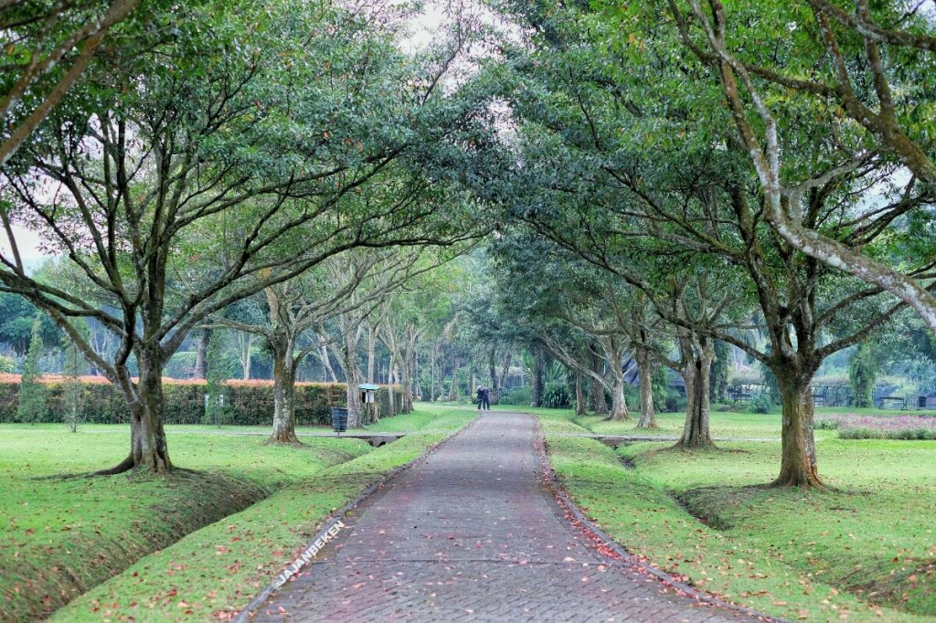 jajanbeken taman bunga cipanas 2018