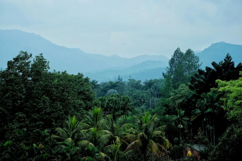 jajanbeken taman bunga cipanas terbaru
