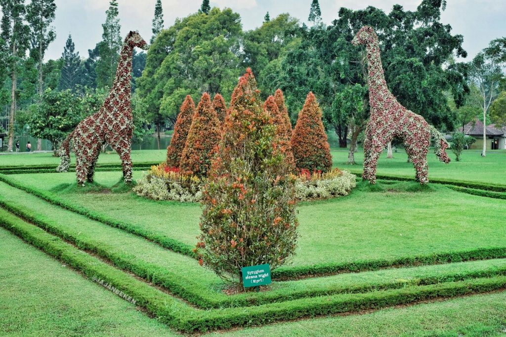 jajanbeken wisata keluarga puncak
