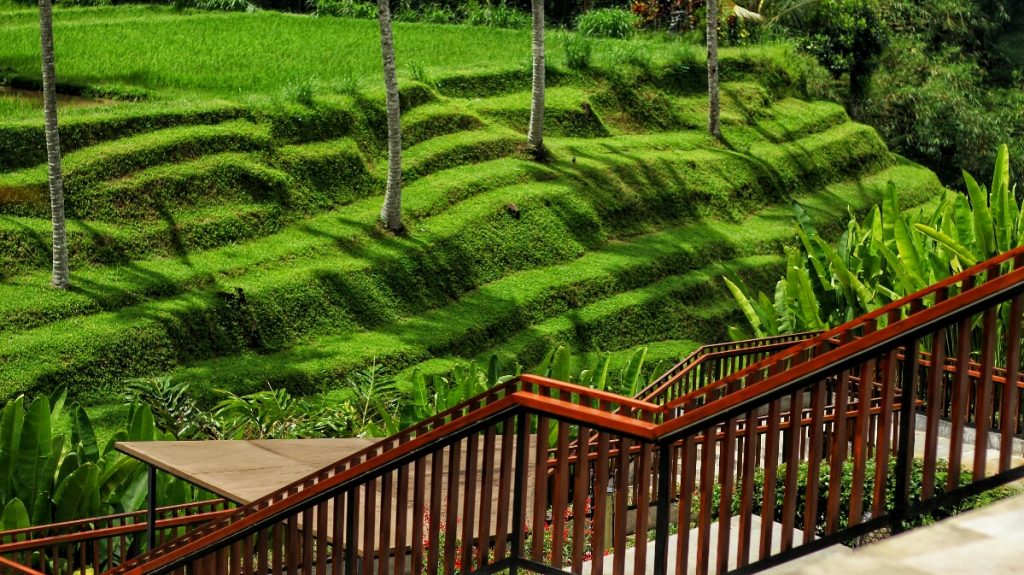 jajanbeken secret garden village destination near bedugul