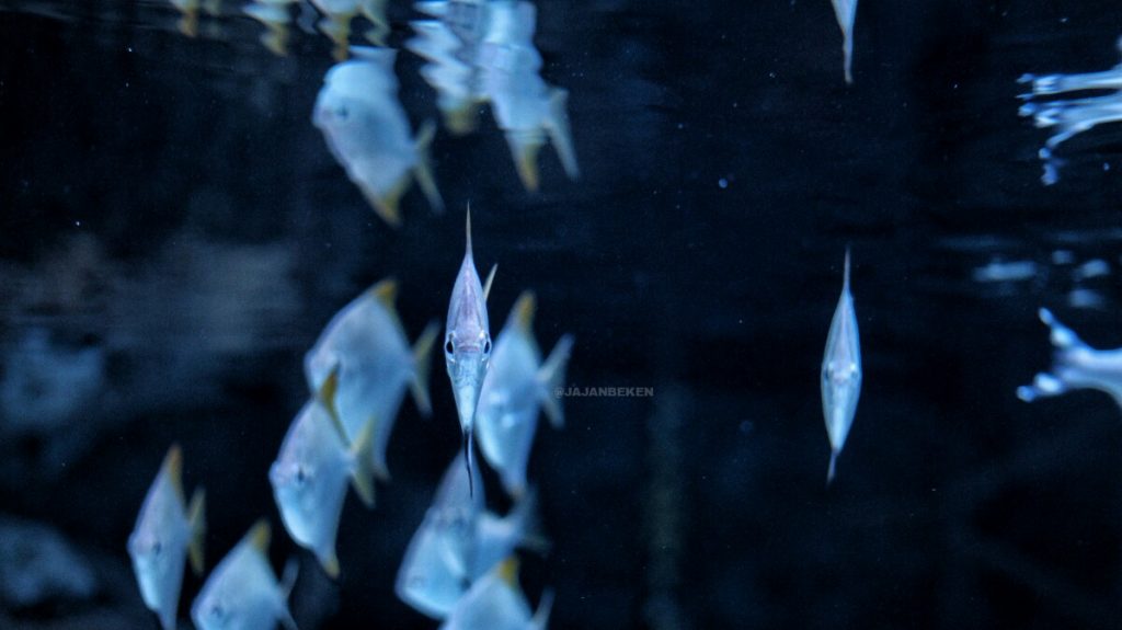 jajanbeken indonesia ocean destination
