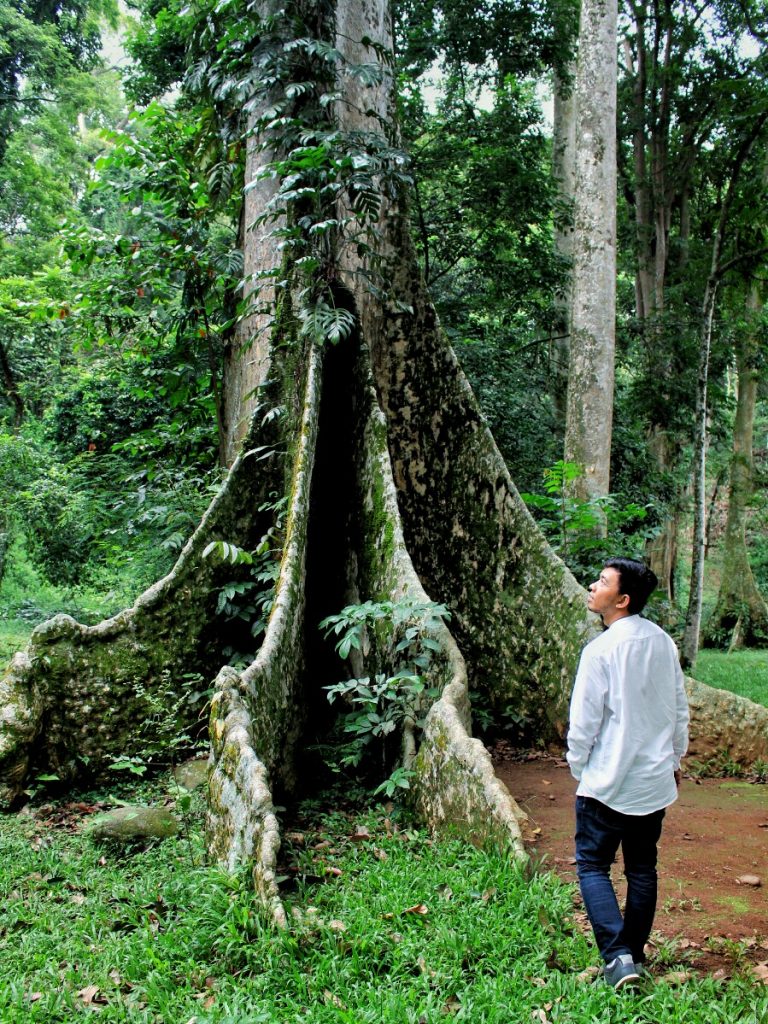 jajanbeken kebun raya bogor