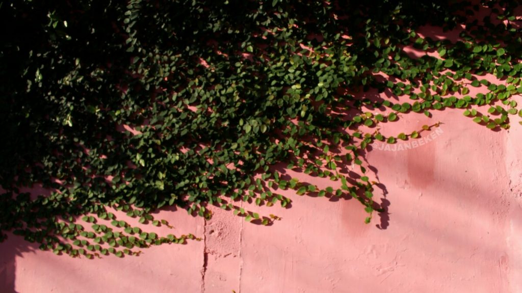 jajanbeken tempong pink bali price
