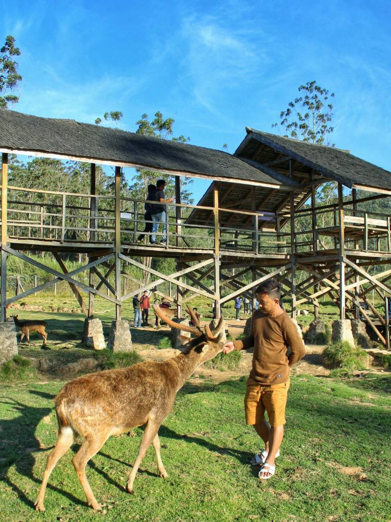jajanbeken camping tenda bandung